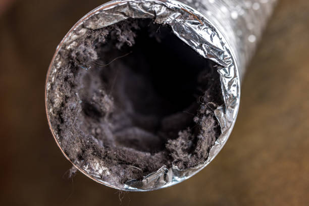 Best Duct Cleaning for Homes  in Clinton, SC