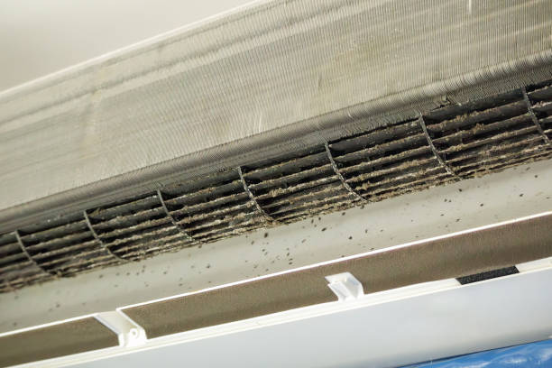 Best Ductwork Cleaning Services  in Clinton, SC